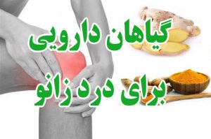 درمان گیاهی زانو درد